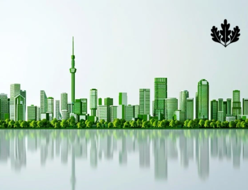 How the LEED rating system works: A guide for property investors